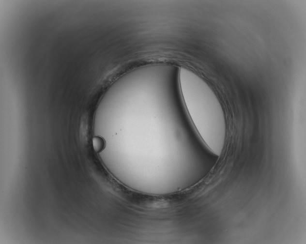 X0000112070600200908040952