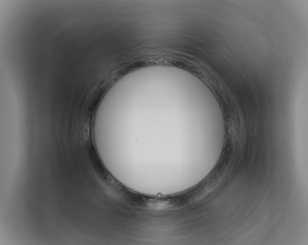 X0000112070602200908040952