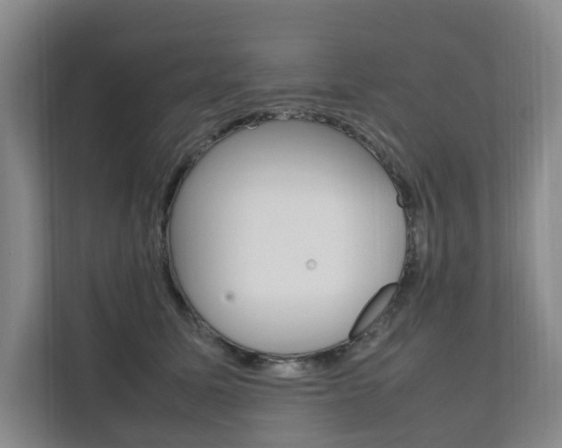 X0000112070611200908040952