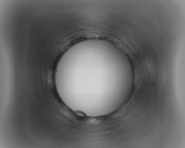 X0000112070616200908040952