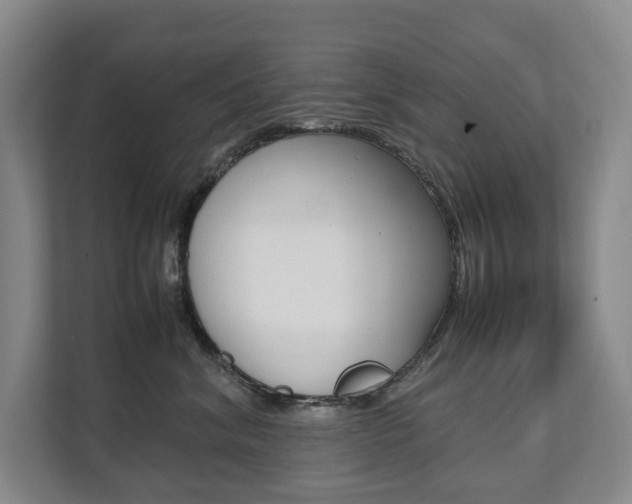 X0000112070620200908040952