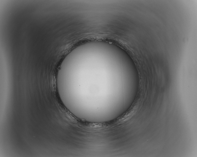 X0000112070624200908040952