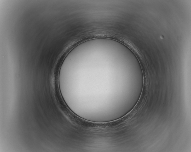 X0000112070626200908040951