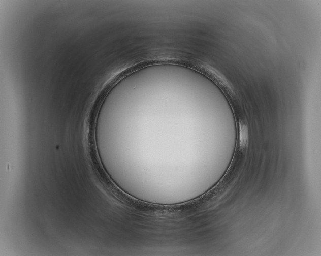 X0000112070627200908040951