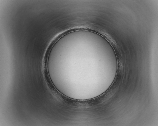 X0000112070628200908040951