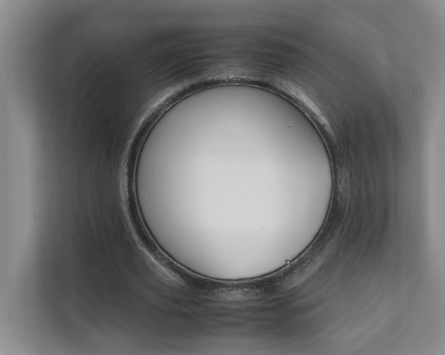X0000112070629200908040951