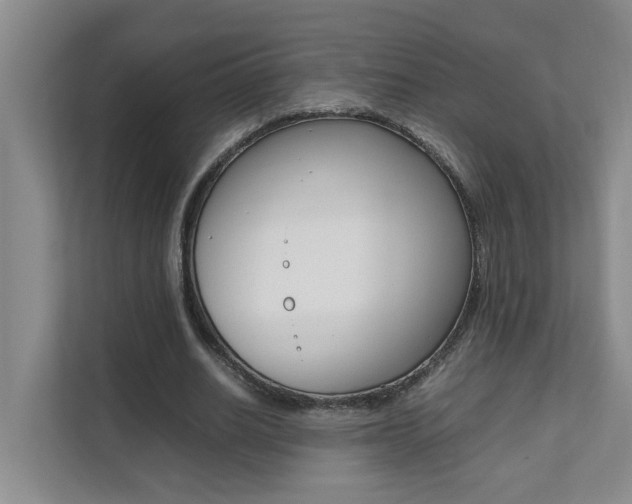 X0000112070630200908040951