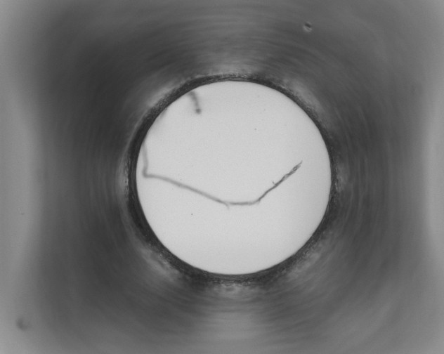 X0000112070632200908040951