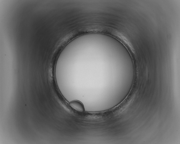 X0000112070633200908040951