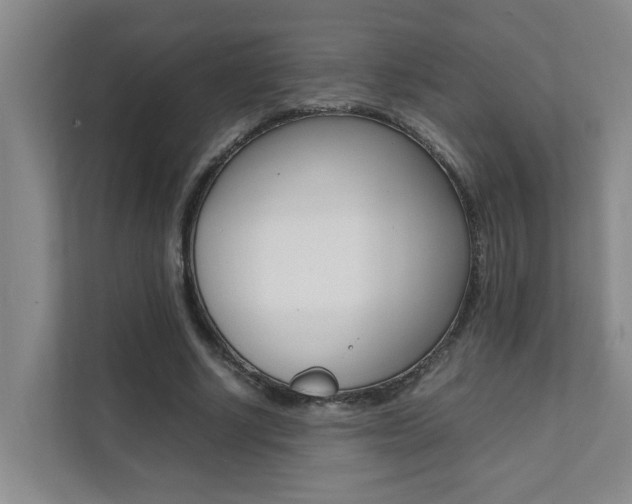 X0000112070634200908040951