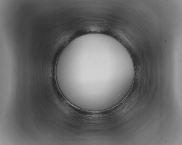 X0000112070639200908040951