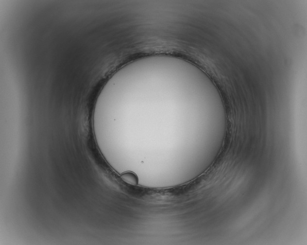 X0000112070642200908040951