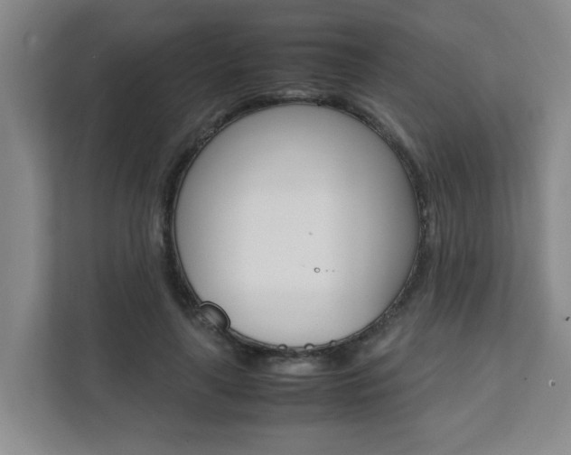X0000112070643200908040951