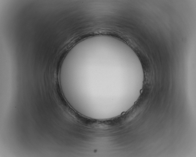 X0000112070648200908040951