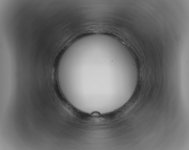 X0000112070650200908040951