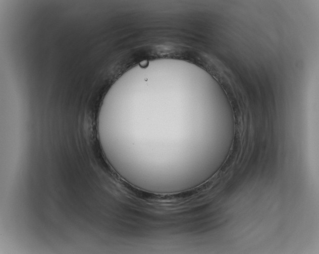 X0000112070653200908040951