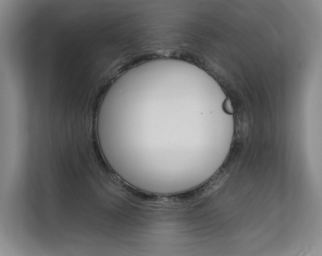 X0000112070656200908040951