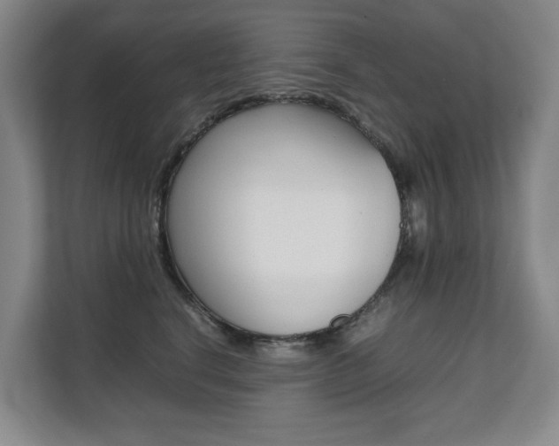 X0000112070664200908040952