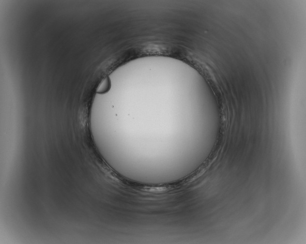 X0000112070665200908040952