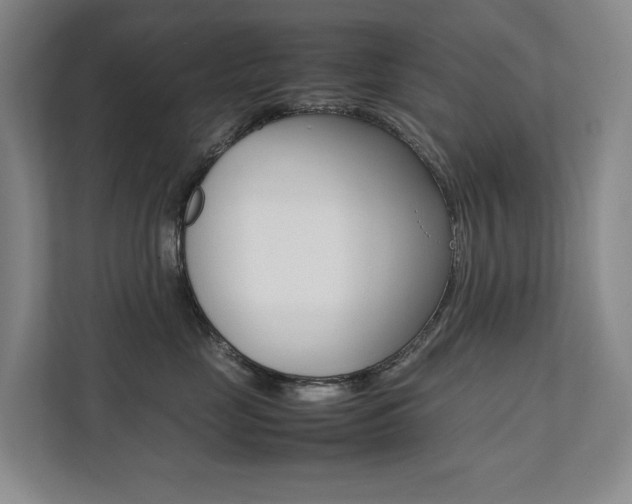 X0000112070669200908040952