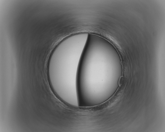 X0000112070673200908040951