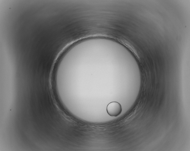 X0000112070676200908040951