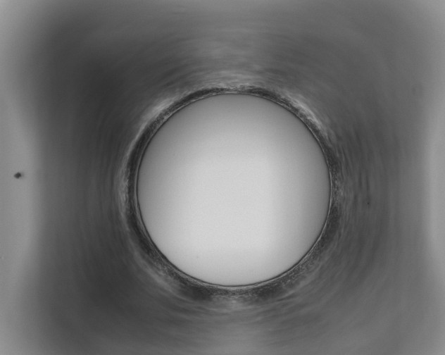 X0000112070679200908040951