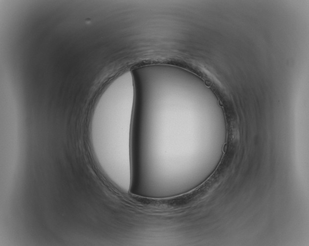 X0000112070685200908040951
