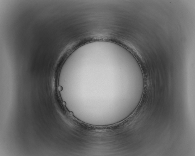 X0000112070686200908040951