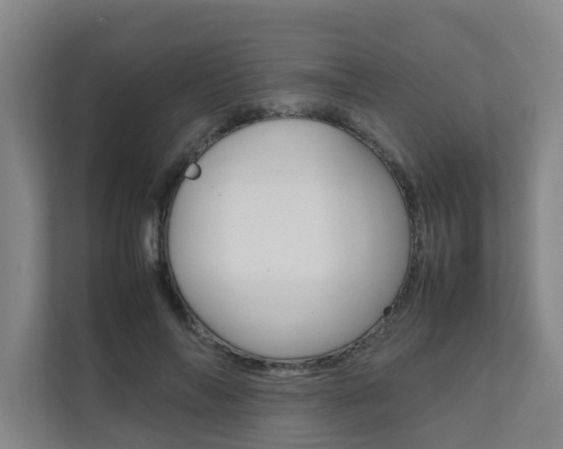 X0000112070694200908040951