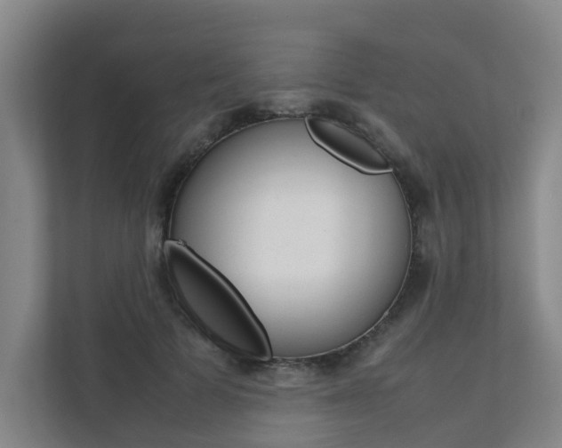 X0000112070697200908040951