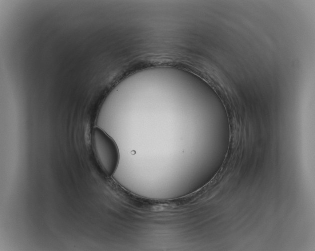 X0000112070700200908040951