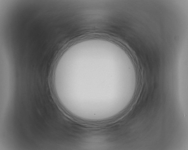 X0000112070701200908040951