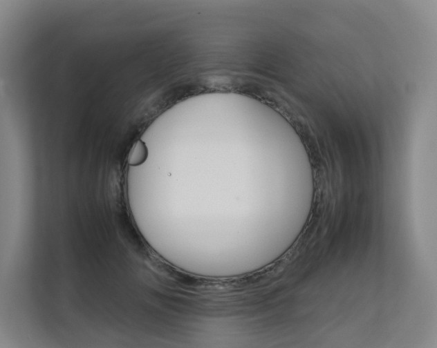 X0000112070702200908040951