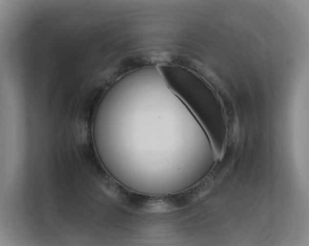 X0000112070704200908040951