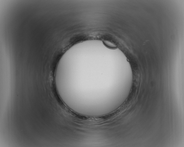 X0000112070707200908040951