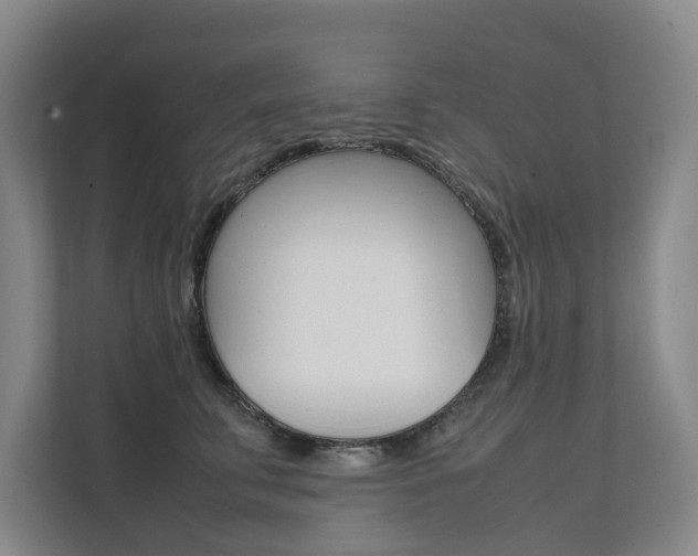 X0000112070711200908040951