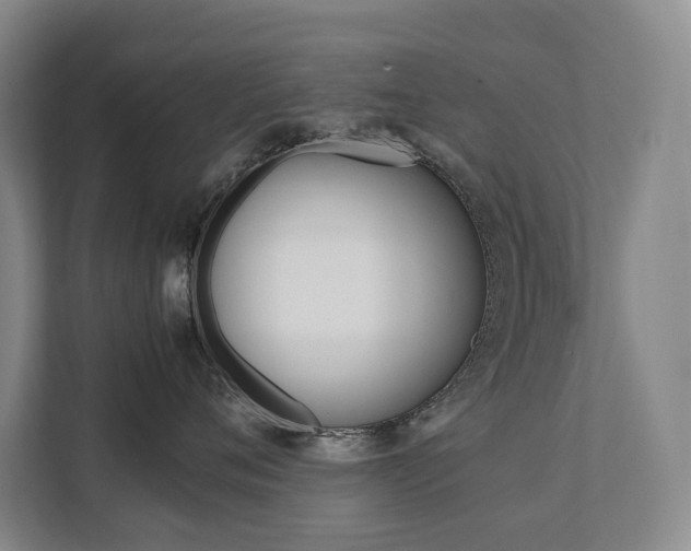 X0000112070720200908040950