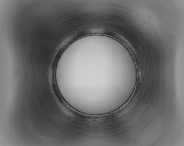 X0000112070725200908040950