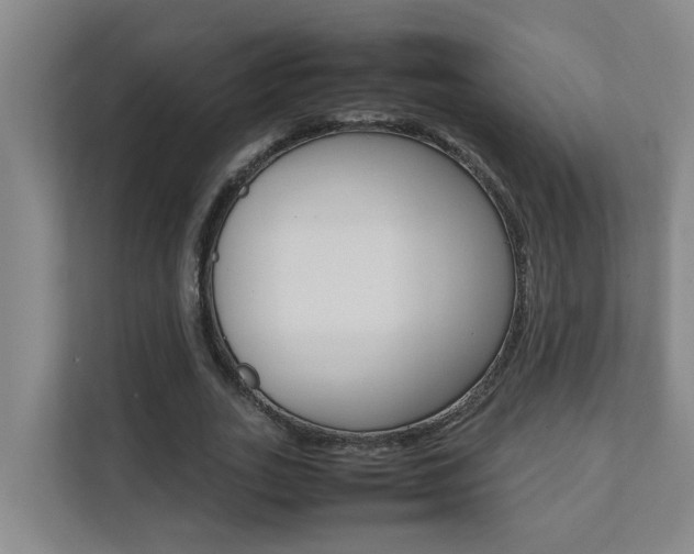 X0000112070727200908040950