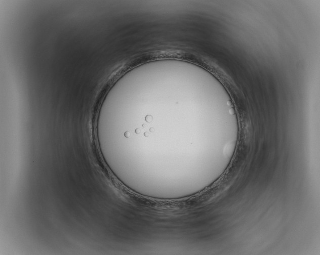 X0000112070729200908040950