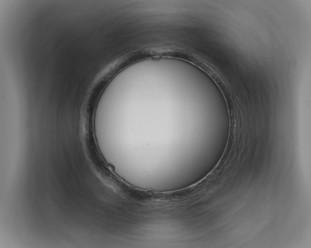 X0000112070732200908040950