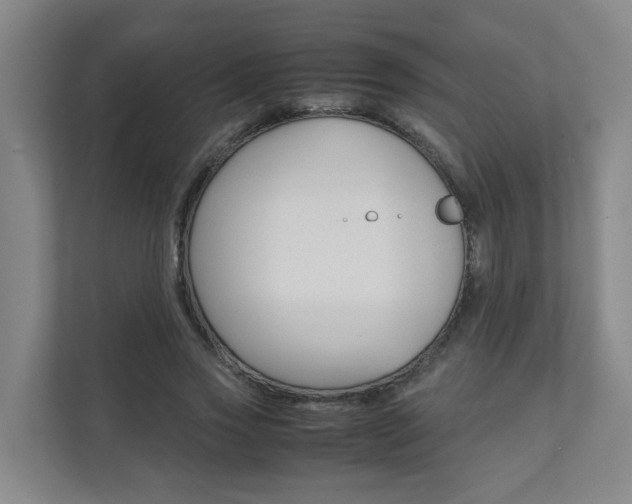 X0000112070733200908040950