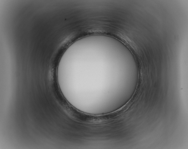 X0000112070735200908040950