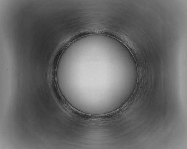 X0000112070736200908040950