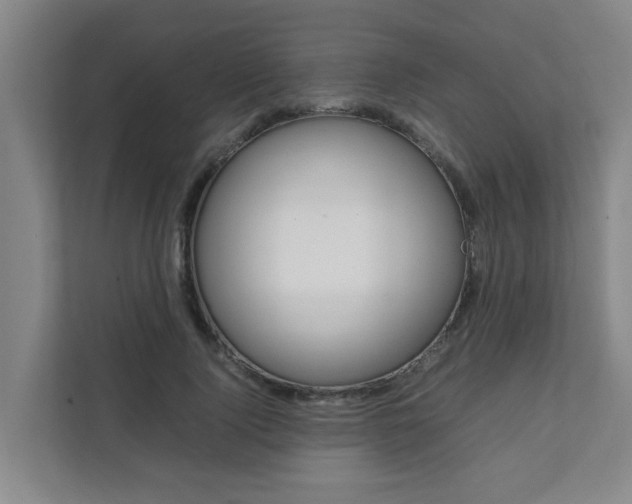 X0000112070740200908040950