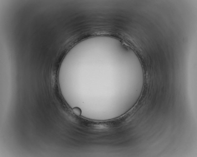 X0000112070741200908040950