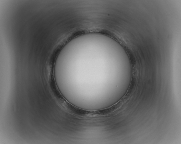 X0000112070742200908040950
