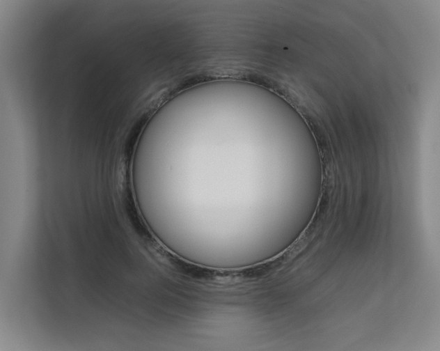 X0000112070744200908040950