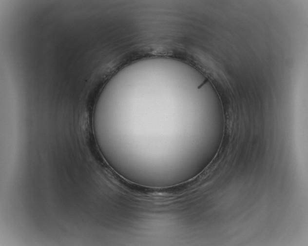 X0000112070748200908040950